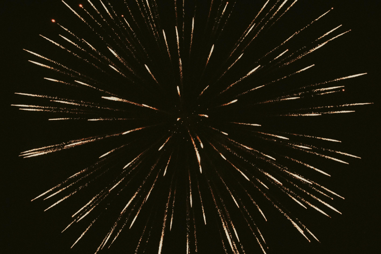 Feux d’artifice : protéger son chien en été