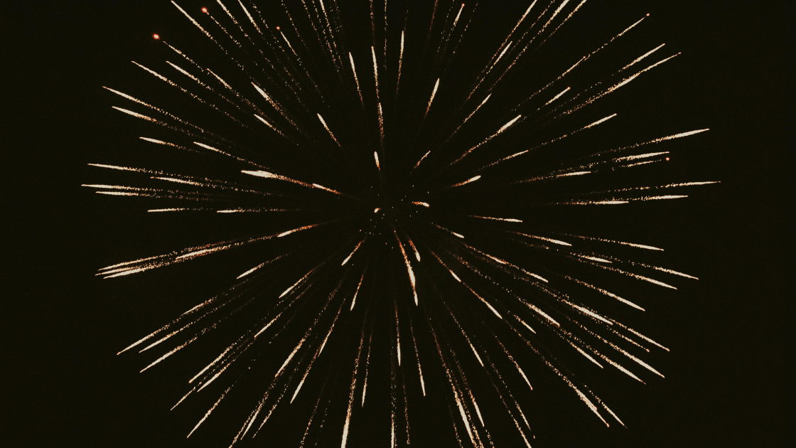 Feux d’artifice : protéger son chien en été