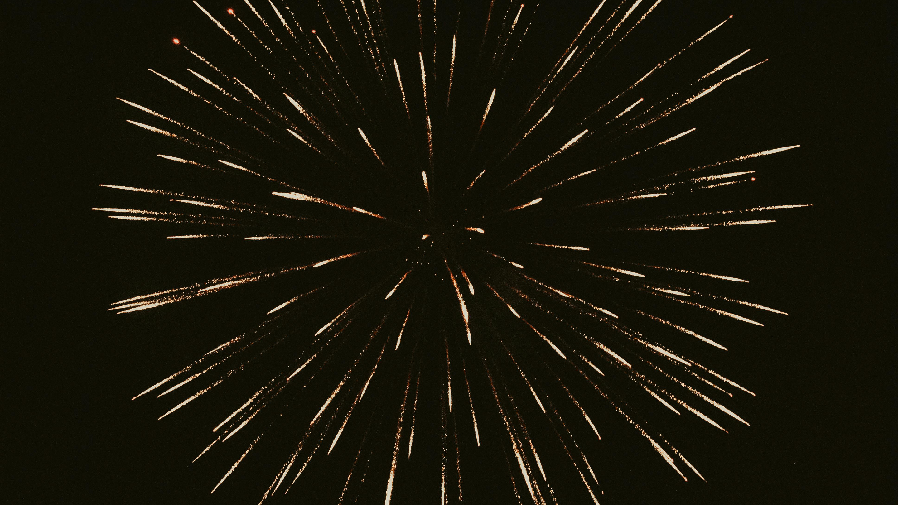 Feux d’artifice : protéger son chien en été