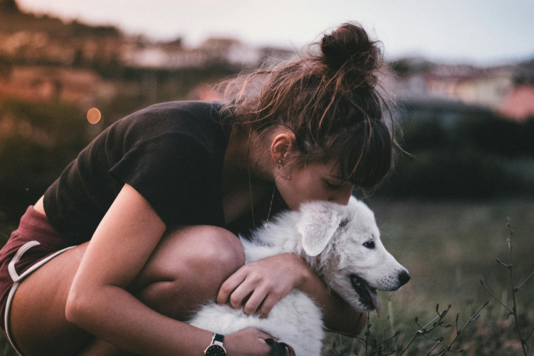 La responsabilité du propriétaire d’un chien