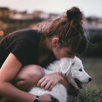 La responsabilité du propriétaire d’un chien