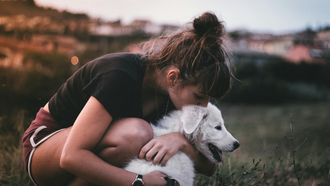 La responsabilité du propriétaire d’un chien